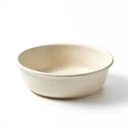 Dishpan