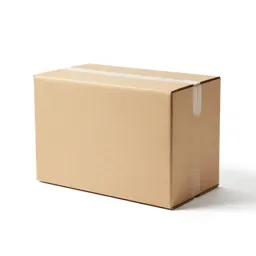 Dispatch case