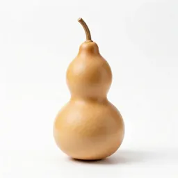 Gourd