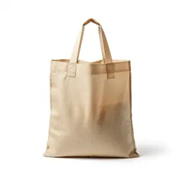 Grocery bag