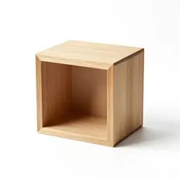 Shadow box