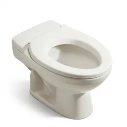 Toilet bowl