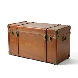 Trunk