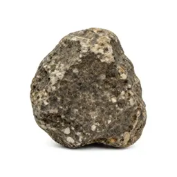 Chondrite