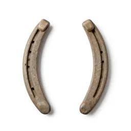 Horseshoe