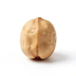 Nutshell