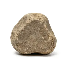 Petrifaction