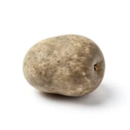 Ptyalith