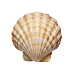 Shell plating