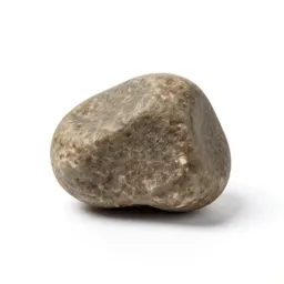 Sialolith