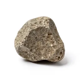 Xenolith