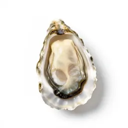Oyster shell