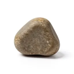 Urolith