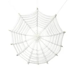 Cobweb