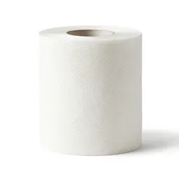 Paper towel