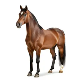 Cockhorse
