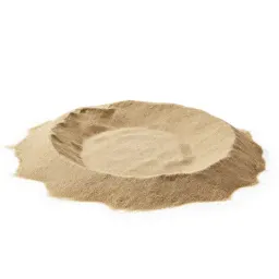Sandbox