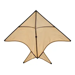 Sport kite
