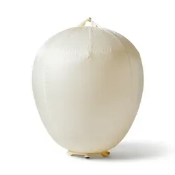 Balloon