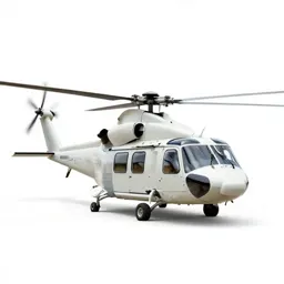 Cargo helicopter