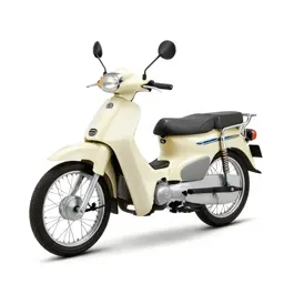 Moped