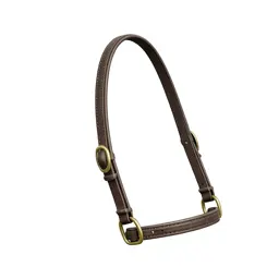 Bridle with brass fittings