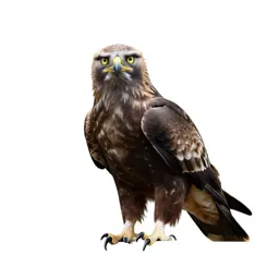 Griffin perched