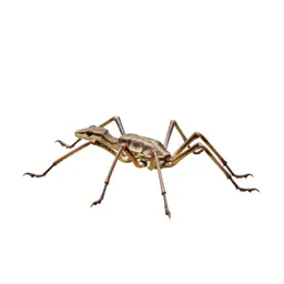 Six-legged desert strider