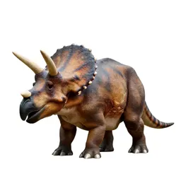 Triceratops