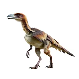 Archaeopteryx