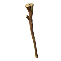 Wizard's staff