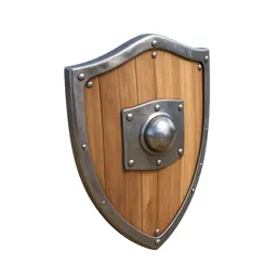 Wooden shield with an iron boss