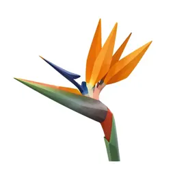 Bird of paradise flower