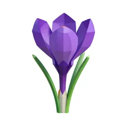 Crocus