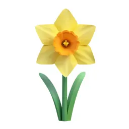 Daffodil