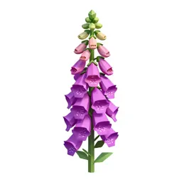 Foxglove spire