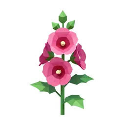 Hollyhock