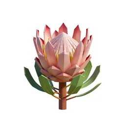 King protea
