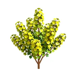 Kowhai flower cluster