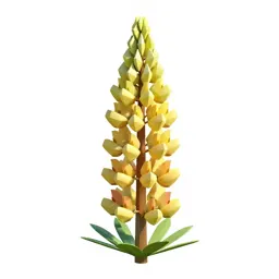 Lupin spike