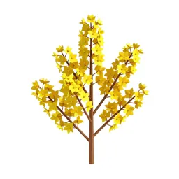 Manuka blossom branch
