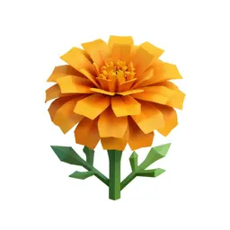 Marigold