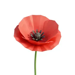 Poppy