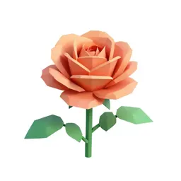 Single garden rose