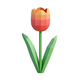 Tulip
