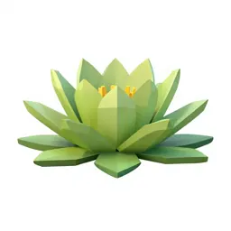 Water lily