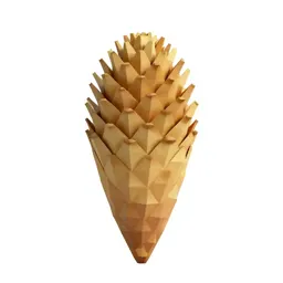 Echinacea cone