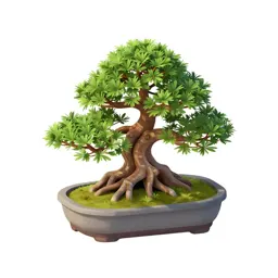 Bonsai training kit
