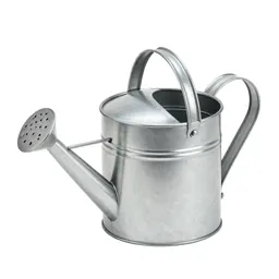 Galvanised watering can