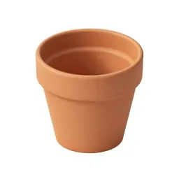 Terracotta plant pot